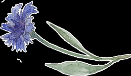 紫紋花束卡通透明素材