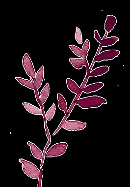 黑粉花叶卡通透明素材