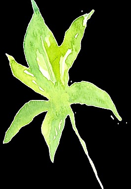 創(chuàng)意綠色花卉卡通透明素材