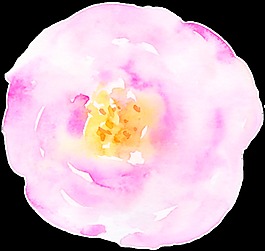 卡片裝飾花卉卡通透明素材