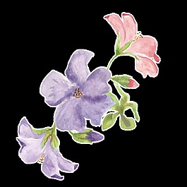 藍(lán)紫花束卡通透明素材