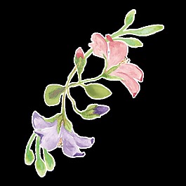 雙色花蕊卡通透明素材