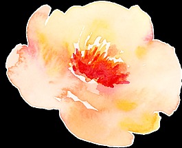 顏色漸變花卉透明素材