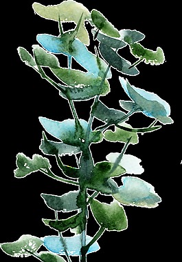 蘑菇花葉卡通透明素材
