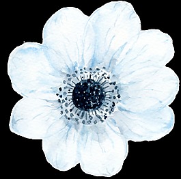 冰藍(lán)花瓣卡通透明素材