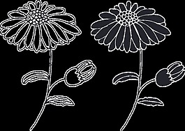 黑白花朵卡通透明素材