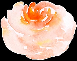 傳統(tǒng)水墨畫花卉透明素材