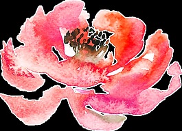 真彩紅花卡通透明素材
