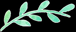 水彩綠色樹葉透明素材