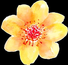 黃色高雅碎花卡通透明素材