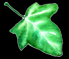 白光花葉卡通透明素材