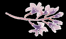 紛紫花葉卡通透明素材