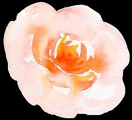 黃水花蕊卡通透明素材