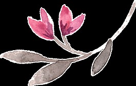 紅黑花葉卡通透明素材