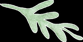 真綠枝葉卡通透明素材
