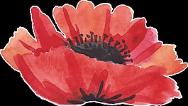 紅水花瓣卡通透明素材