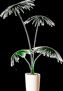 家裝擺設(shè)植物透明素材