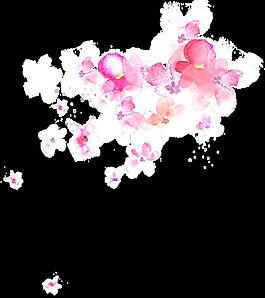 絢麗花卉卡通透明素材