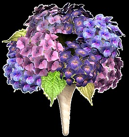紫色手盆花卡通透明素材