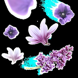紫色元素花卉透明素材