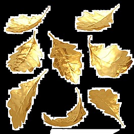 金色樹葉透明素材