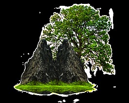 樹木風景透明素材