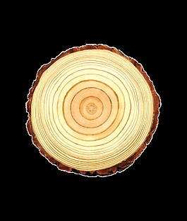 圓形樹(shù)墩透明素材