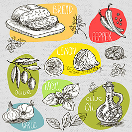 趣味手繪水果和食材插畫