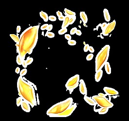 秋天落葉透明素材