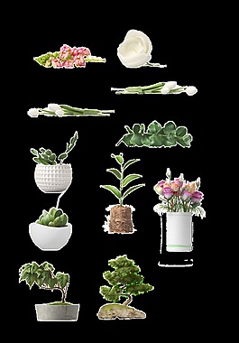 園藝花卉透明素材