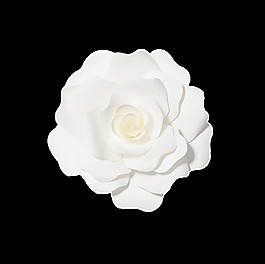 唯美白色花卉卡通透明素材