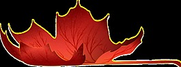 紅色楓葉透明素材