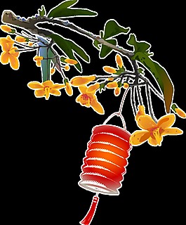 紅色燈籠透明素材
