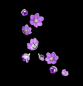 湖畔花蕾卡通透明素材