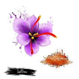 一朵紫色的花psd源文件