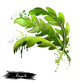 手繪三片葉子psd源文件