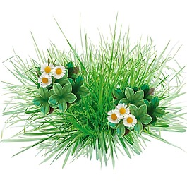 清新綠色草地花朵元素