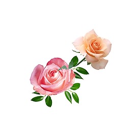 清新粉色花朵元素