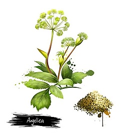 手繪深山野花psd源文件