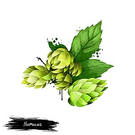 手繪深山野草花psd源文件