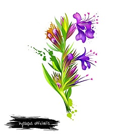 手繪紫色繽紛花朵psd源文件
