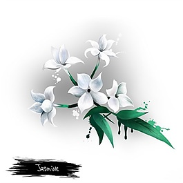 手繪清雅白色花朵psd源文件