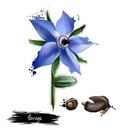 水彩手绘紫色的花psd源文件