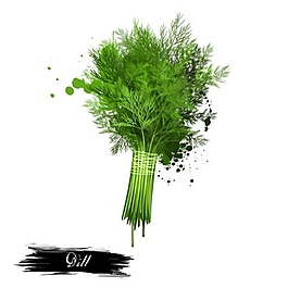一束美麗的花草psd源文件