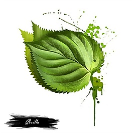 簡(jiǎn)約手繪綠葉psd源文件