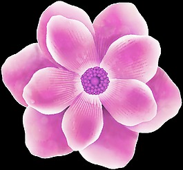 玫紅色水彩花png透明素材