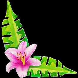 彩繪一朵鮮花兩片葉子png透明素材
