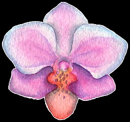 大葉花蕊透明裝飾素材