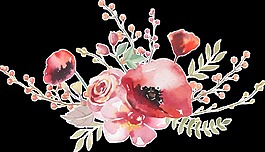 白色花叢透明裝飾素材