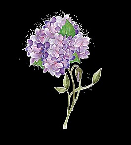 紫衣花束透明裝飾素材